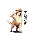 ドット絵 ラブラドール イエロー 40種（個別スタンプ：24）