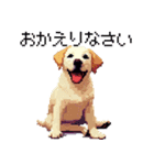 ドット絵 ラブラドール イエロー 40種（個別スタンプ：28）