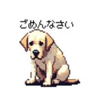 ドット絵 ラブラドール イエロー 40種（個別スタンプ：37）