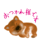 しば犬こいぬ（柴犬子犬）（個別スタンプ：7）