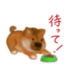 しば犬こいぬ（柴犬子犬）（個別スタンプ：16）