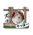天使ん爛漫ハムスターきいちゃん（個別スタンプ：2）