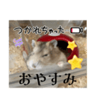 天使ん爛漫ハムスターきいちゃん（個別スタンプ：3）