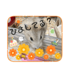 天使ん爛漫ハムスターきいちゃん（個別スタンプ：6）