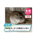 天使ん爛漫ハムスターきいちゃん（個別スタンプ：7）