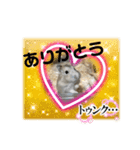 天使ん爛漫ハムスターきいちゃん（個別スタンプ：8）
