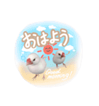 日常で使える！仲良し白文鳥ツインズ♪（個別スタンプ：23）