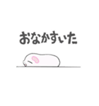 アイアム チコ！（個別スタンプ：3）