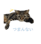 はる（日常）（個別スタンプ：7）