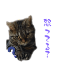 はる（日常）（個別スタンプ：8）