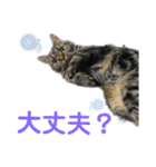 はる（日常）（個別スタンプ：10）