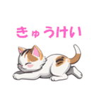 キュ～トなこねこぱらだいす（個別スタンプ：21）