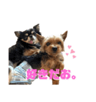 ヨーキーのねぎま君（個別スタンプ：11）