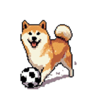 ドット絵 スポーツする 柴犬 40種 しばけん（個別スタンプ：1）