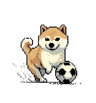 ドット絵 スポーツする 柴犬 40種 しばけん（個別スタンプ：2）