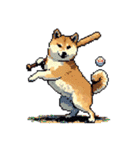 ドット絵 スポーツする 柴犬 40種 しばけん（個別スタンプ：4）