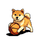 ドット絵 スポーツする 柴犬 40種 しばけん（個別スタンプ：7）