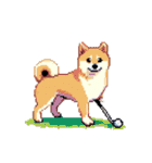 ドット絵 スポーツする 柴犬 40種 しばけん（個別スタンプ：9）