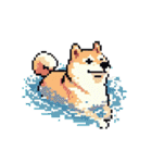 ドット絵 スポーツする 柴犬 40種 しばけん（個別スタンプ：11）