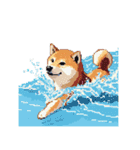 ドット絵 スポーツする 柴犬 40種 しばけん（個別スタンプ：12）