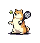 ドット絵 スポーツする 柴犬 40種 しばけん（個別スタンプ：13）