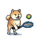 ドット絵 スポーツする 柴犬 40種 しばけん（個別スタンプ：14）