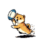 ドット絵 スポーツする 柴犬 40種 しばけん（個別スタンプ：15）