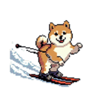 ドット絵 スポーツする 柴犬 40種 しばけん（個別スタンプ：20）