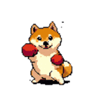 ドット絵 スポーツする 柴犬 40種 しばけん（個別スタンプ：23）