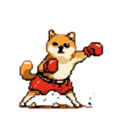 ドット絵 スポーツする 柴犬 40種 しばけん（個別スタンプ：24）