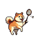 ドット絵 スポーツする 柴犬 40種 しばけん（個別スタンプ：25）