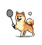 ドット絵 スポーツする 柴犬 40種 しばけん（個別スタンプ：26）