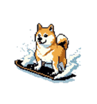 ドット絵 スポーツする 柴犬 40種 しばけん（個別スタンプ：31）