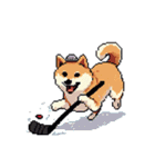 ドット絵 スポーツする 柴犬 40種 しばけん（個別スタンプ：33）