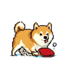 ドット絵 スポーツする 柴犬 40種 しばけん（個別スタンプ：38）