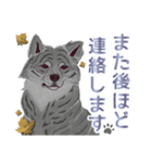 気まぐれ秋田犬の時来和さん。（個別スタンプ：13）