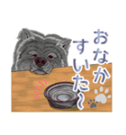 気まぐれ秋田犬の時来和さん。（個別スタンプ：17）