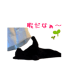 クロネコのシンプルスタンプ（個別スタンプ：13）