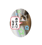 もふねこタイム2（個別スタンプ：4）