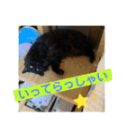 もふねこタイム2（個別スタンプ：5）