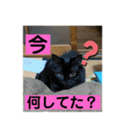 もふねこタイム2（個別スタンプ：6）