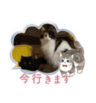 もふねこタイム2（個別スタンプ：13）