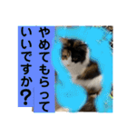 もふねこタイム2（個別スタンプ：35）