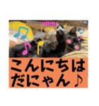 もふねこタイム2（個別スタンプ：39）