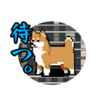 かわいいドット柴犬スタンプ（個別スタンプ：7）