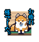 かわいいドット柴犬スタンプ（個別スタンプ：9）