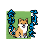 かわいいドット柴犬スタンプ（個別スタンプ：10）