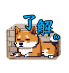 かわいいドット柴犬スタンプ（個別スタンプ：12）