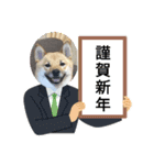 柴犬はな お正月（個別スタンプ：16）