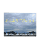 戦闘機の写真で伝える日常会話パート3♬（個別スタンプ：1）